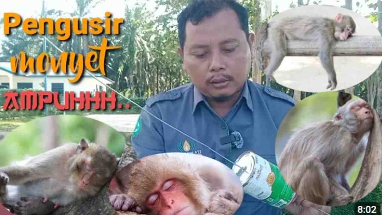 Inovasi Alat Pengusir Monyet dari Kebun, Cara Ampuh Jaga Tanaman Anda Tetap Aman