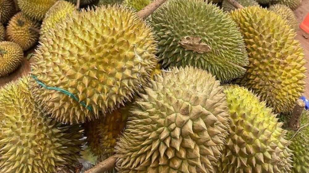3 Negara Penghasil Durian Terbesar di Dunia, Apakah Indonesia Termasuk? 