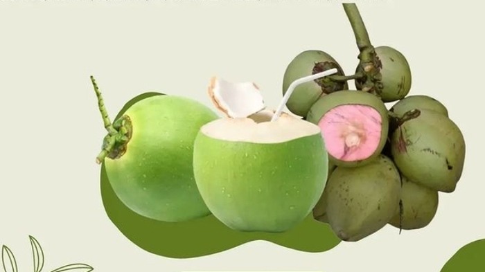 Air Kelapa Muda: Minuman Ajaib yang Menyegarkan dan Memberikan Manfaat Luar Biasa bagi Ibu Hamil