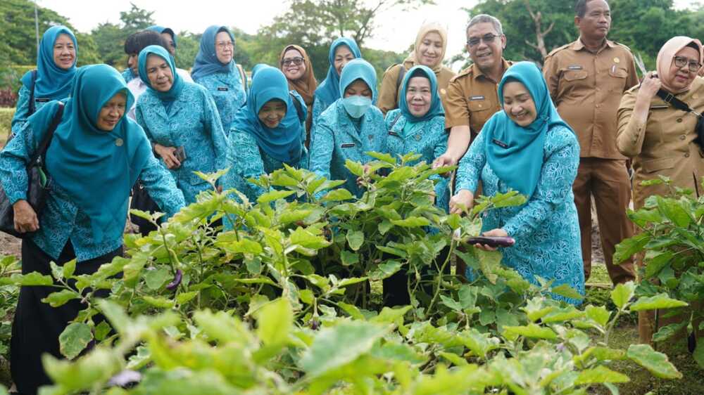 Edukasi Tekan Laju Inflasi, Pj Ketua TP PKKK Sumsel Tyas Fatoni Panen Sayur di Kitchen Garden JSC Palembang