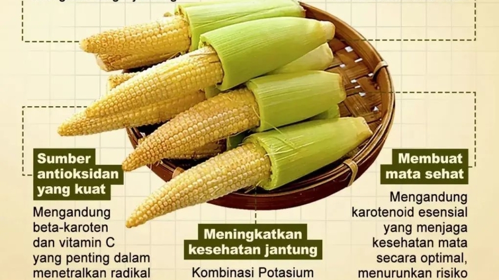 Si Kecil Baby Corn, Pengontrol Asupan Kalori dan Karbohidrat Bagi Penderita Diabetes 