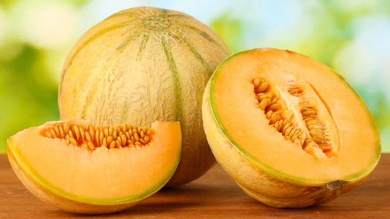 Blewah, Sumber Hidrasi Alami yang Menyegarkan dan Menyehatkan