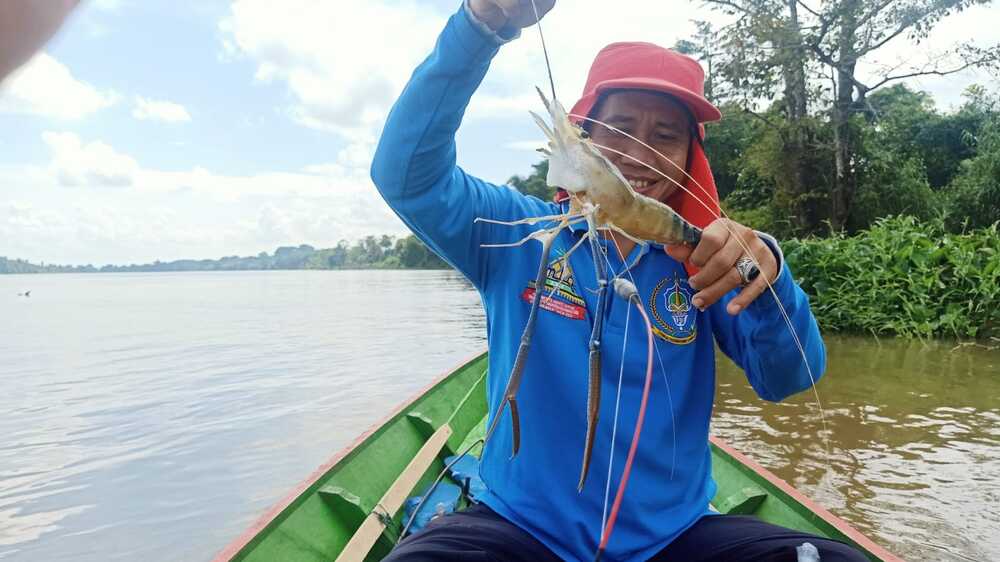 Sensasi Tarikan Memancing Udang Laut, Sekali Melaut Bisa Hasilkan Tangkapan Udang 5 Kilogram