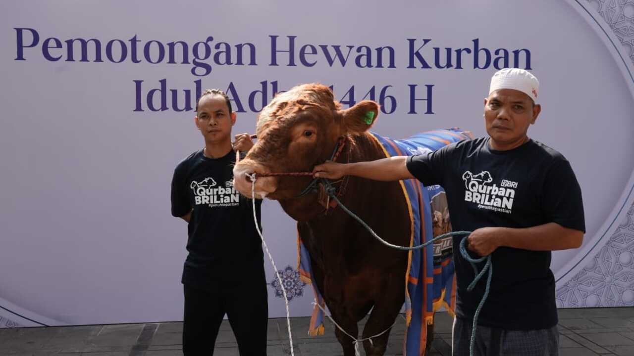 Semangat Berbagi Idul Adha 1446 H, Bapekis dan Karyawan BRI Salurkan 961 Hewan Kurban untuk Masyarakat