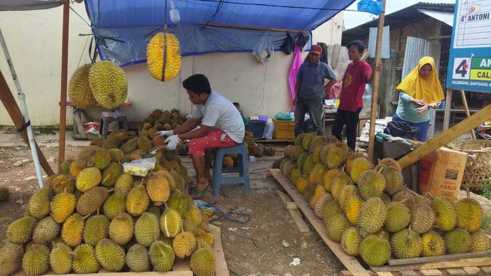 Durian Linggau Mulai Banjiri Kota Pangkalan Balai
