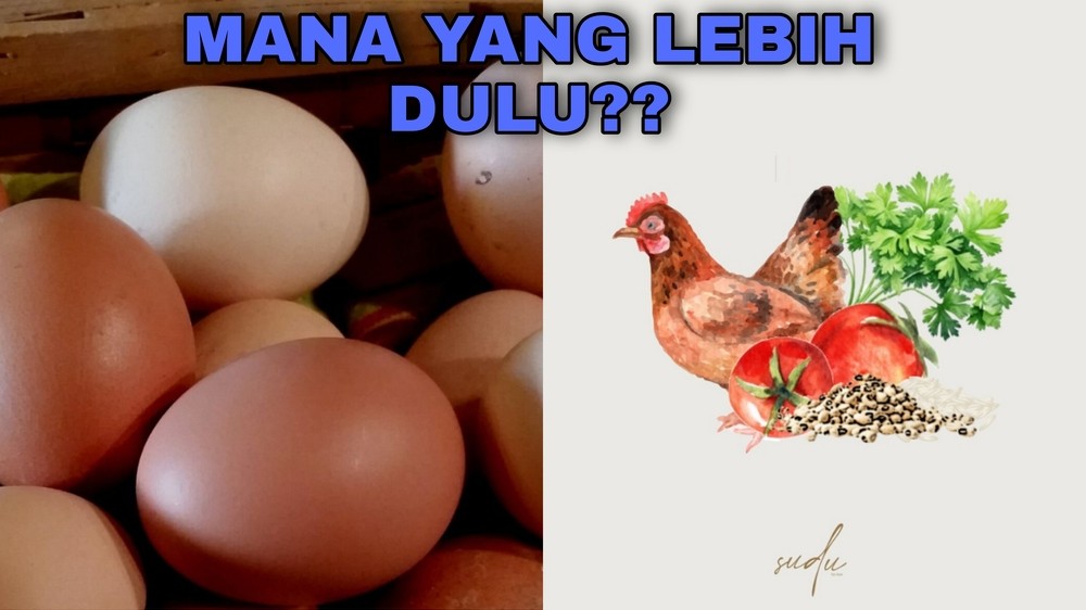 Penasaran Pada Teka Teki Filosofis Tentang Duluan Ayam VS Telur, Yang Mana Menurut Kalian ?