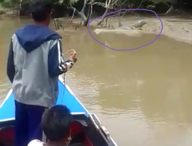 Disambar Buaya: 3 Hari Pencarian, Tubuh Nelayan Makarti Jaya Ini Belum Ditemukan