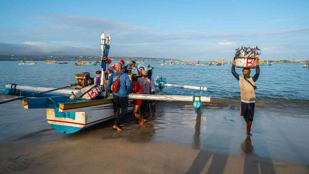 Langkah Nyata BRI Menuju Ekonomi Hijau, Portofolio Pembiayaan Berkelanjutan Capai Rp764,8 Triliun