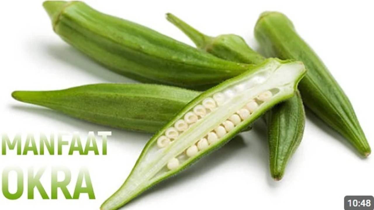 Luar Biasa! Inilah 12 Manfaat Okra untuk Kesehatan Tubuh yang Perlu Anda Ketahui