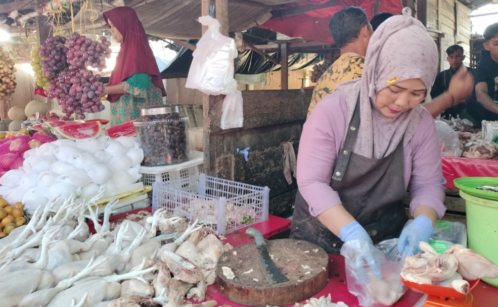 Harga Ayam Broiler Tembus Rp45 Ribu, Emak-emak di Pangkalan Balai Mengeluh