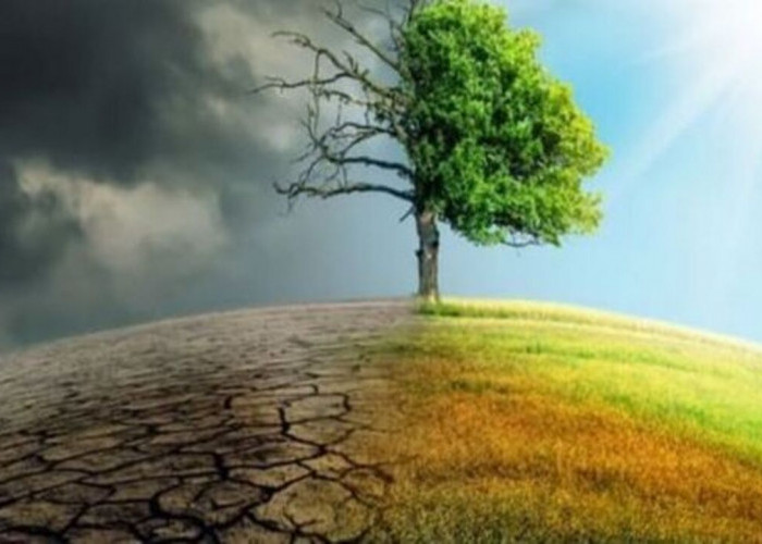 Cuaca Tak Menentu, Bukti Nyata Dampak Perubahan Iklim