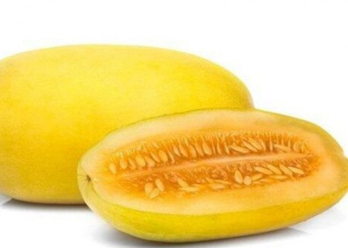 Kandungan Air Tinggi Timun Suri, Rahasia Tubuh Tetap Segar Saat Berbuka Puasa