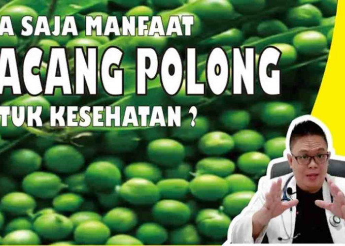 Kecil Namun Kaya Nutrisi, Ini 7 Manfaat Kacang Polong untuk Kesehatan