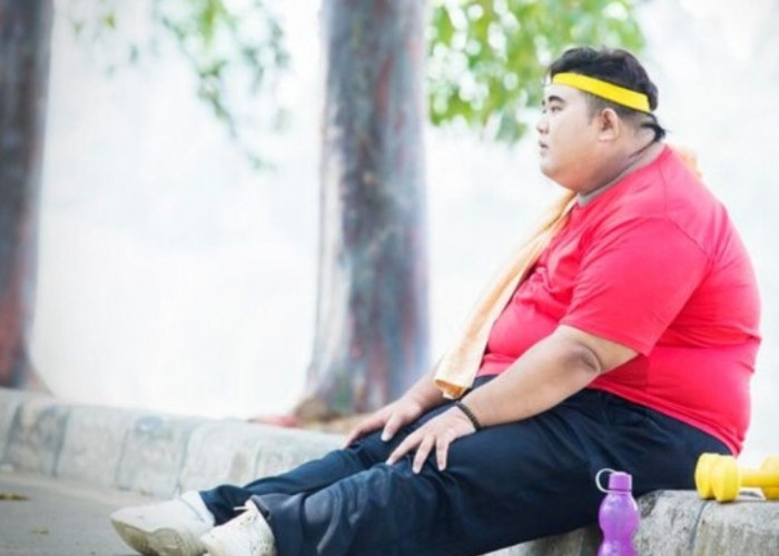 Jangan Dianggap Sepele! Ini 3 Dampak Fatal Akibat Kegemukan