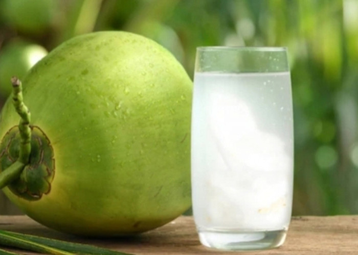 Benarkah Ibu Hamil Minum Air Kelapa Bisa Membuat Kulit Bayi Putih? Ini Faktanya