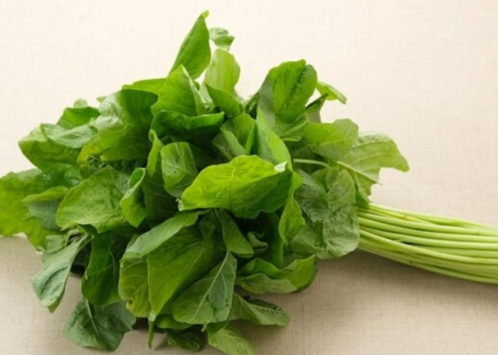 Sayur Hijau yang Kaya Manfaat, Bayam Baik untuk Jantung dan Tekanan Darah
