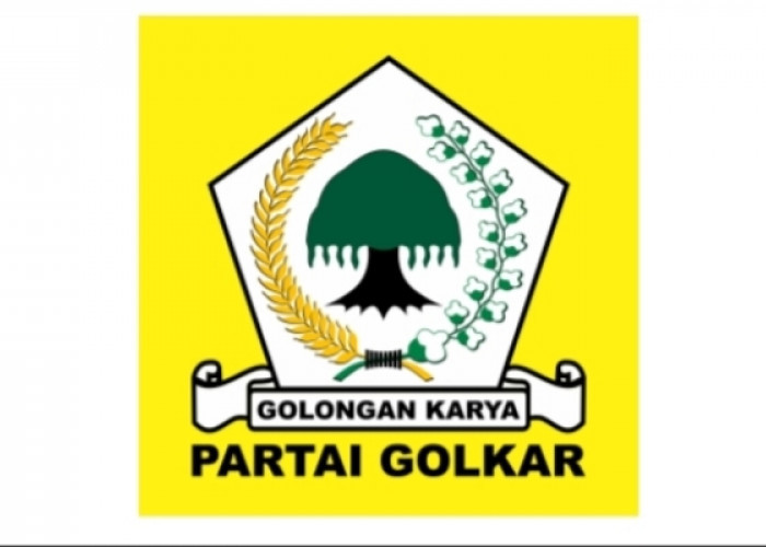 Simak Nama Calon DPRD Banyuasin dalam DCS Partai Golkar, Adakah Jagoanmu?