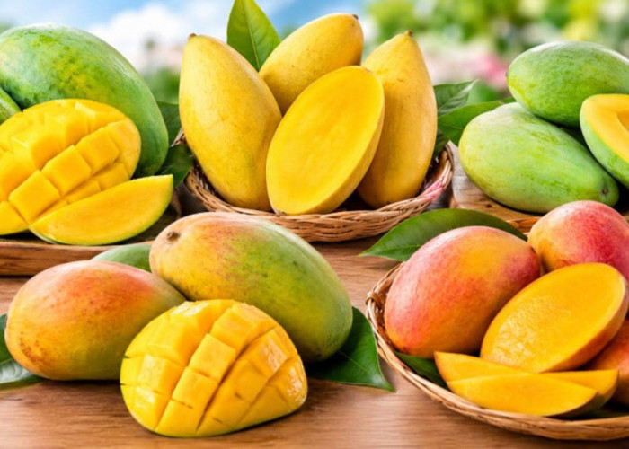Rekomendasi 5 Mangga Terenak, Ada yang Dagingnya Tebal dan Rasanya Super Manis