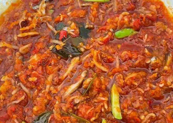 Sensasi Pedas Menggoda! Resep Sambal Terasi Teri Medan Pete yang Wajib Dicoba