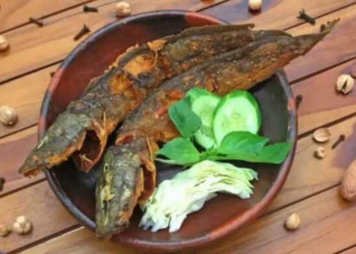 Konsumsi Ikan Lele Saat Hamil Optimalkan Perkembangan Otak dan Sistem Saraf Janin