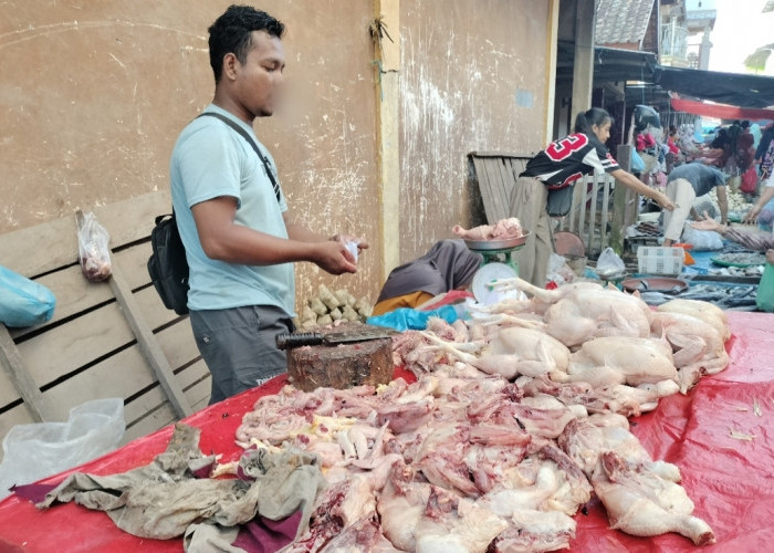 Harga Ayam di Pasar Pangkalan Balai Rp40 Ribu/Kg, Warga Khawatir Naik Jelang Lebaran