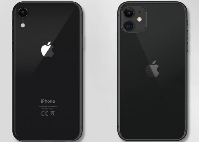 Bingung Mau Pilih yang Mana ? Lihat Perbandingan IPhone 11 vs IPhone Xr, Mana yang Terbaik?