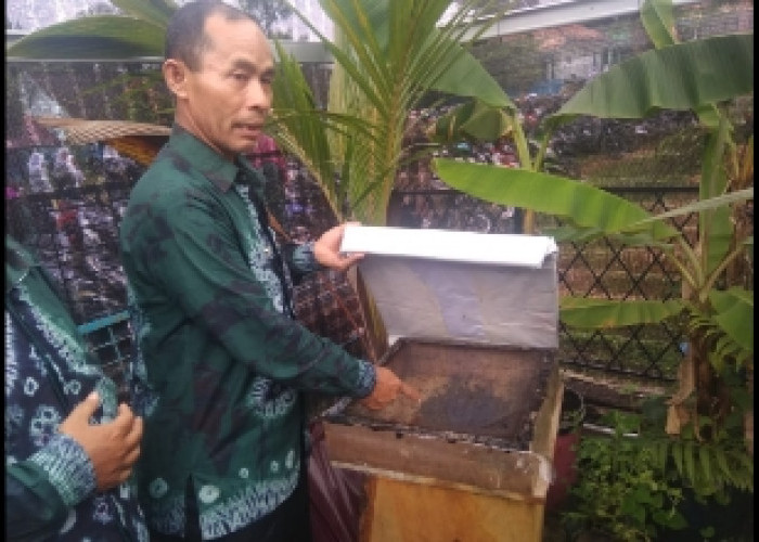 Budidaya Madu Kelulud, Program Unggul Kewirausahaan SMAN 1 Banyuasin III