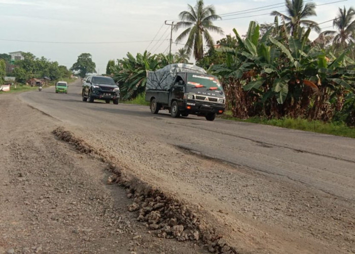 Warga Tuding Kontraktor tak Profesional, Perbaikan Jalintim Timbulkan Debu Pekat