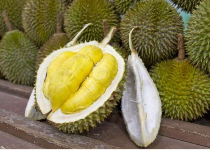 Menentukan Buah Durian yang Manis dan Tebal, Boleh Simak 7 Tips Ini
