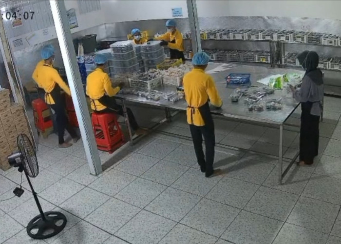 SPPG Pangkalan Balai 1 Banyuasin III – Dapur Mama Ocha Tanggapi Kritik Menu MBG, Tegaskan Tanpa Pengawet