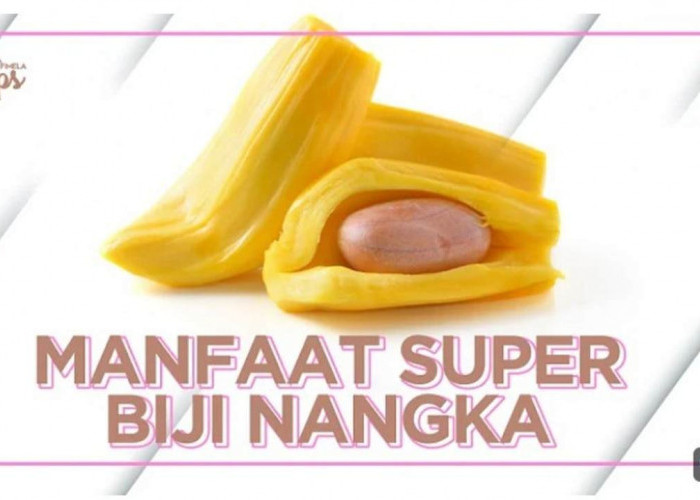 Biji Nangka Gak Hanya Enak, tapi Juga Bikin Sehat! Ini Manfaatnya!