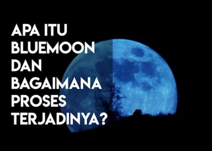 Fenomena Blue Moon yang Terjadi di Bulan Mei 2026, Apa Itu dan Mengapa Langka?