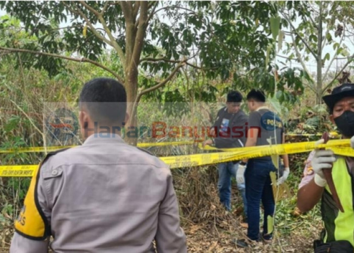 Warga Desa Mukut Pulau Rimau Gempar! Seorang Pria Ditemukan Menggantung di Pohon