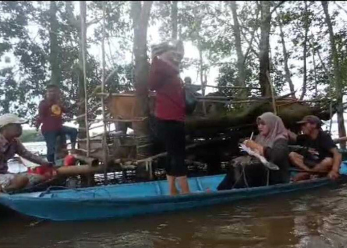 Banjir Rantau Bayur, Peternak Sapi dan Kambing Buat Kandang di Atas Air, Disbunnak Banyuasin Lakukan Ini!