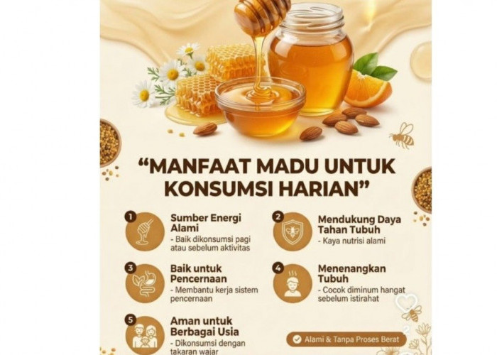 Rahasia Tubuh Kuat Tanpa Obat Mahal, Cukup 1 Sendok Madu Sehari