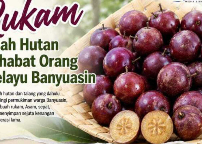 Rukam, Buah Liar Hilang tak Berkesan