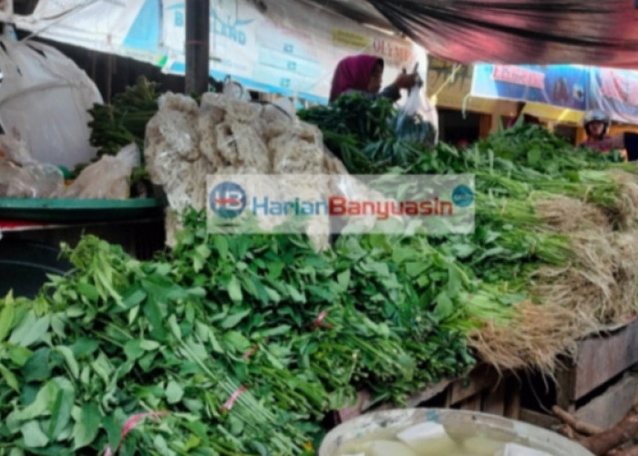 Cuaca Panas, Harga Sayuran di Pasat Tradisional Meroket