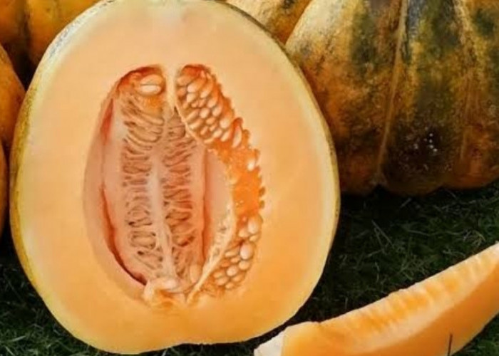 Blewah, Buah Segar yang Bantu Jaga Tekanan Darah dan Kesehatan Jantung