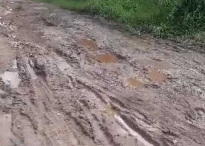 Netizen Keluhkan Kondisi Jalan di Banyuasin, Soroti Jalintim hingga Jalan Pelosok yang Kian Rusak
