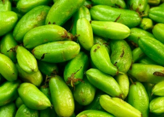 Belimbing Wuluh untuk Batuk dan Sakit Tenggorokan, Ramuan Tradisional yang Masih Digemari