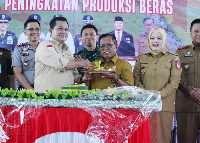 Target Luas Tanam 268.543 Hektare, Banyuasin Perkuat Posisi sebagai Lumbung Pangan Nasional