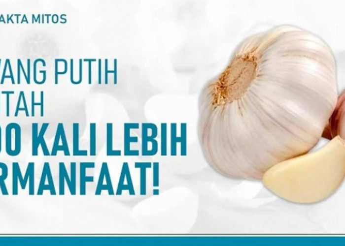 4 Cara Jitu Mengonsumsi Bawang Putih Agar Manfaatnya Maksimal!