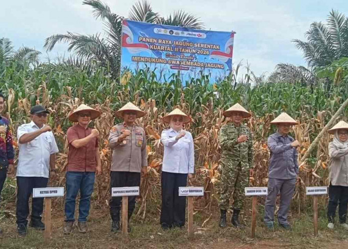 Wabup Banyuasin Ikuti Panen Raya Jagung Serentak dan Groundbreaking Gudang Ketahanan Pangan Polri