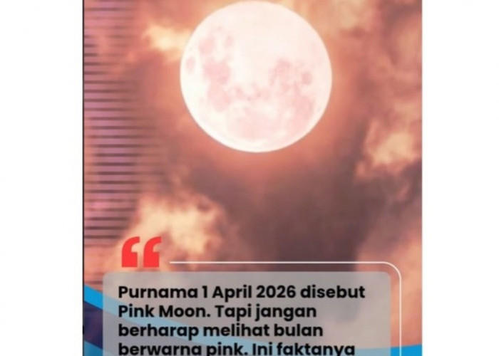 Jangan Tertipu! Pink Moon 2026 Bukan Bulan Berwarna Pink, Ini Fakta Sebenarnya yang Lebih Menakjubkan!