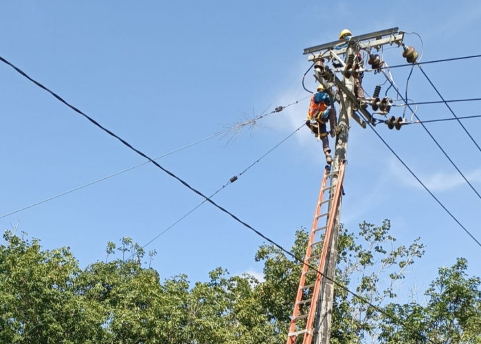 Sejak Magrib Listrik Padam di Air Salek Banyuasin, PLN ULP Mariana Masih Cari Penyebab Tambah Tim Perbaikan