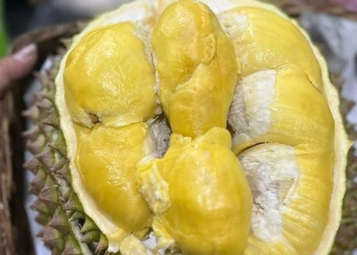 6 Tips Ampuh Menghilangkan Bau Setelah Makan Durian, Patut Dicoba