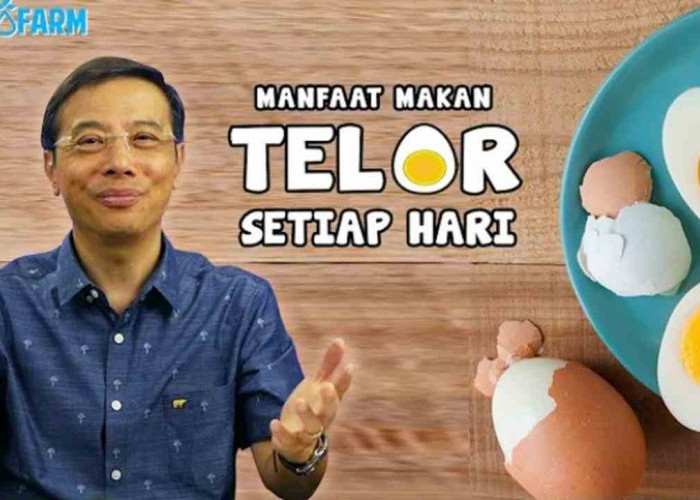 Kamu Suka Makan Telur? Yuk Simak 7 Manfaatnya