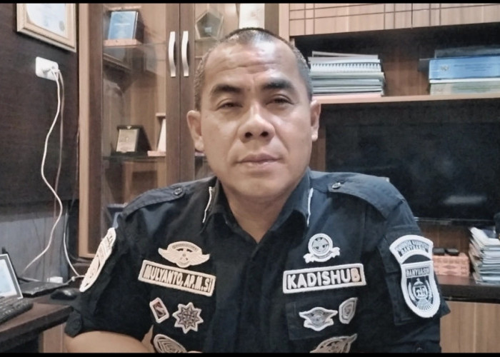 Pelaku Pencurian Komponen PJU di Banyuasin Ditangkap, Dishub: Tak Ada Lagi Toleransi