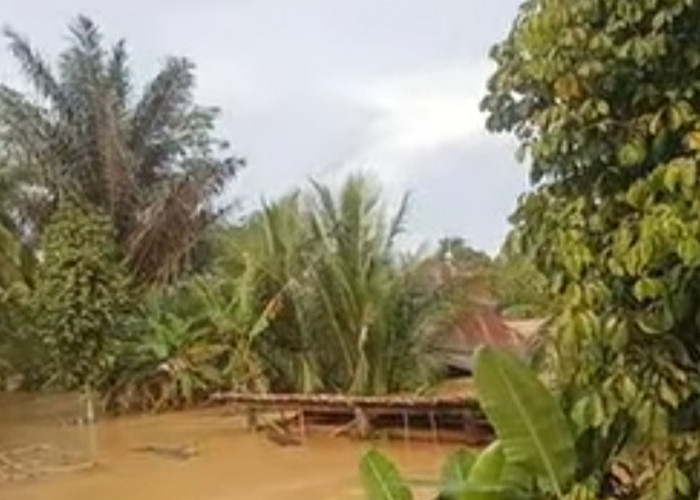Puluhan Desa di Muratara Dilanda Banjir: Batita Tewas Tenggelam, 4 Rumah Hanyut dan Ribuan Warga Terdampak