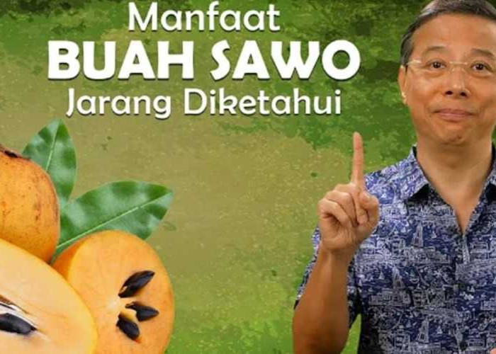 Si Manis Sawo, Buah Sederhana, Segudang Manfaat